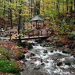 Grand Spa-francorchamps - Chalourous 
